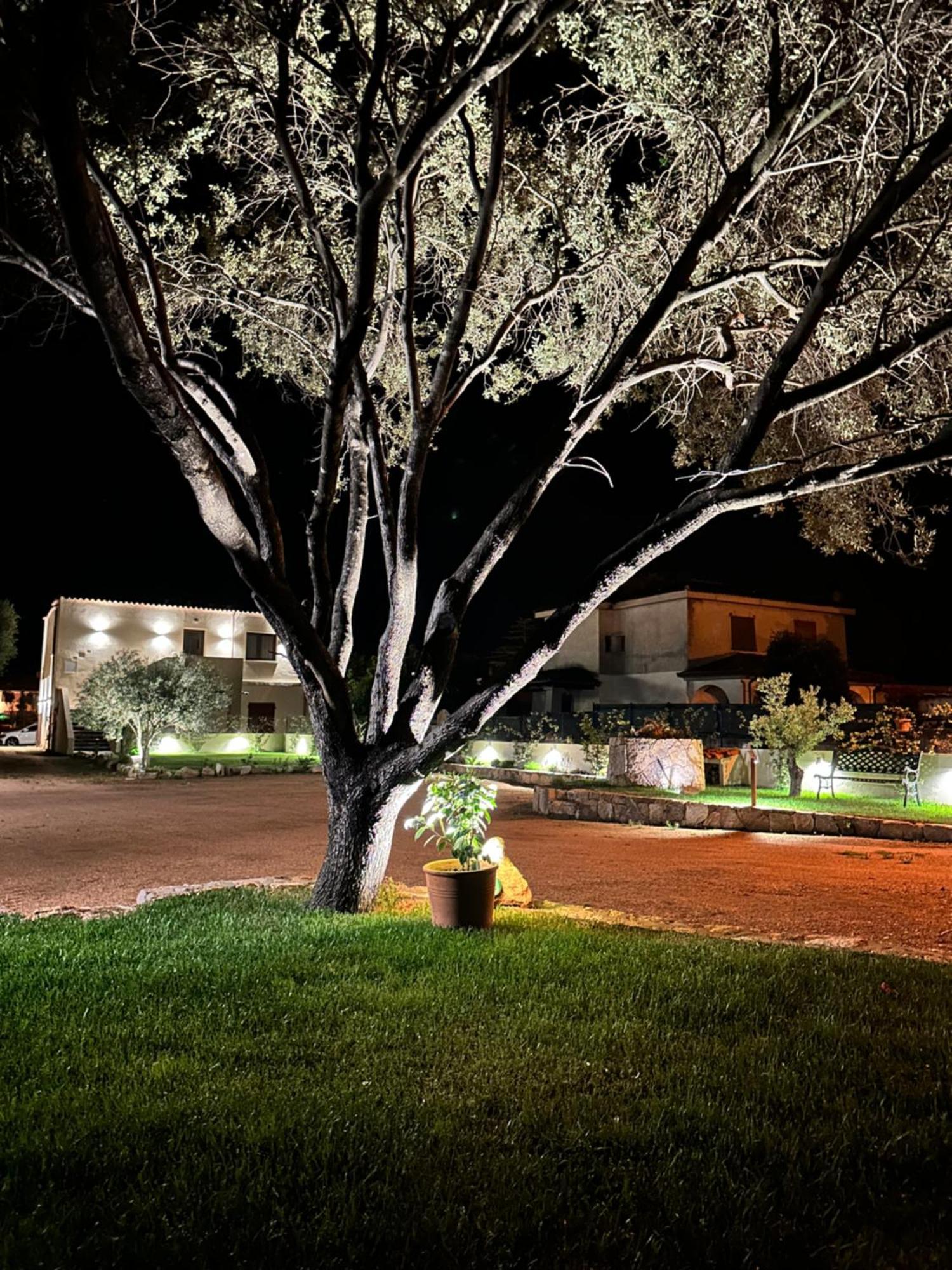 Karasole Hotel San Teodoro  Bagian luar foto